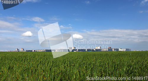 Image of town behind wheat field