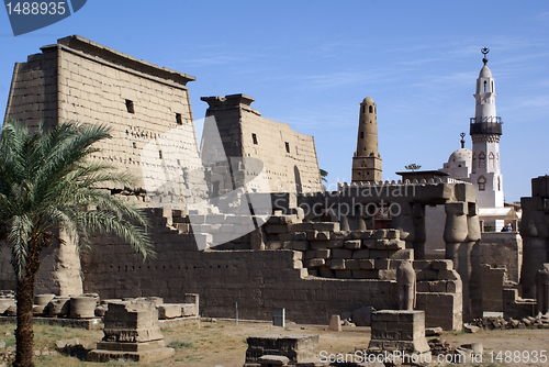 Image of Palm tree and Luxor temple