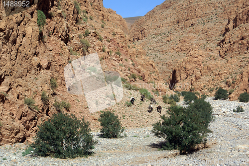 Image of Gorge
