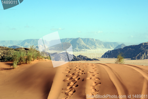 Image of Dune