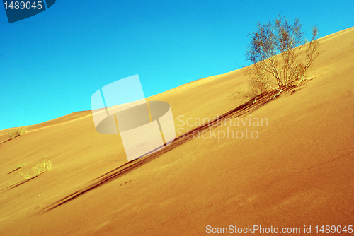 Image of Wadi Rum