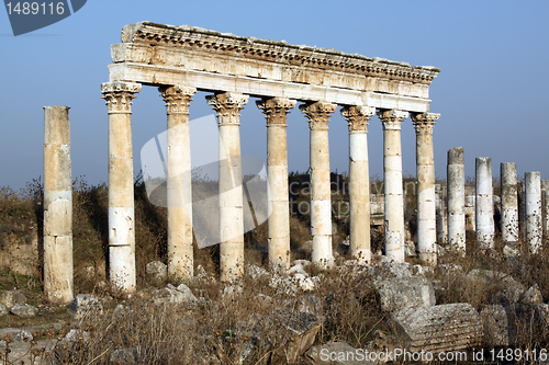 Image of Columns