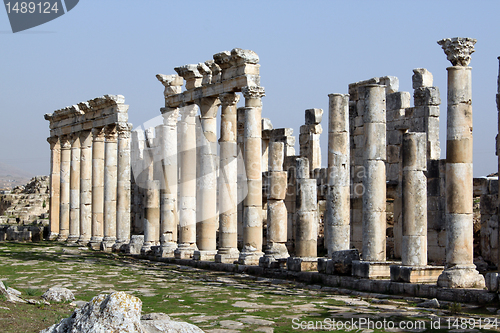 Image of Grass and columns