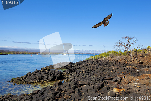 Image of Galapagos landscape