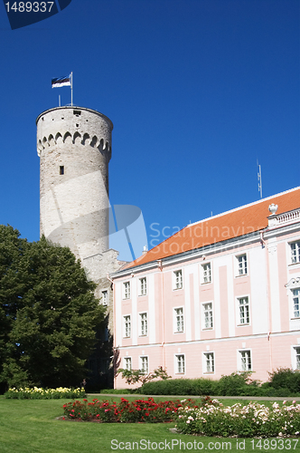 Image of Tower Long Herman in Tallinn