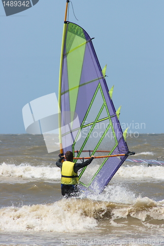 Image of wind surfer
