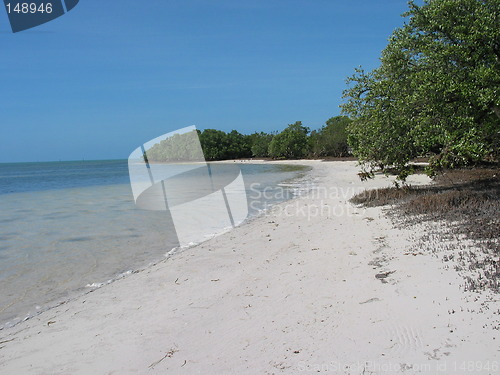 Image of Florida Keys Beach