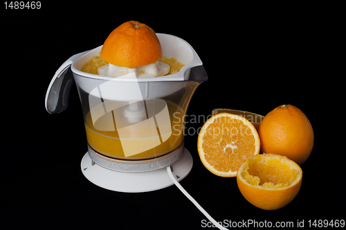 Image of Citrus Juicer and oranges