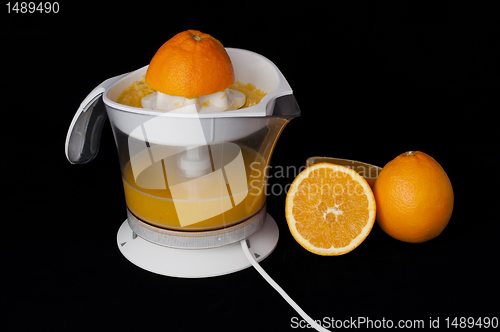 Image of Citrus Juicer and oranges