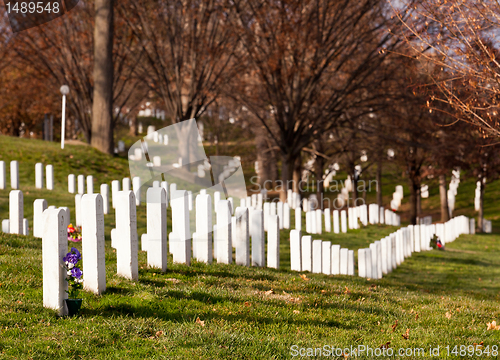 Image of Xmas wreaths in Arlington Cemetery