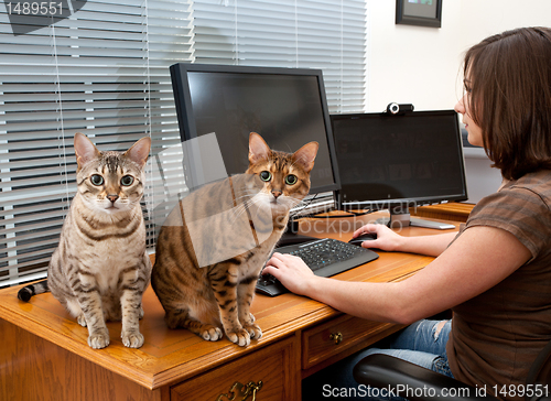 Image of Woman and cats at computer desk