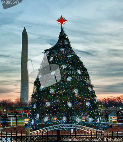 Image of National Christmas tree in DC