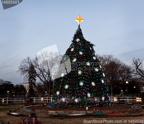 Image of National Christmas tree in DC