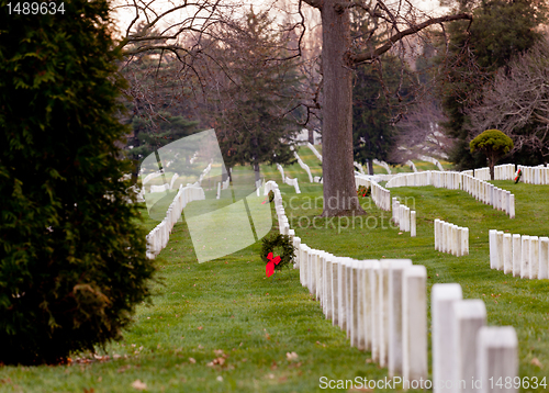 Image of Xmas wreaths in Arlington Cemetery