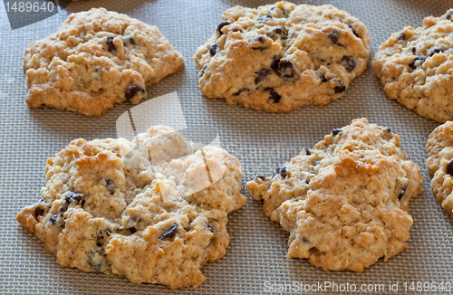 Image of Home made chocolate chip cookies