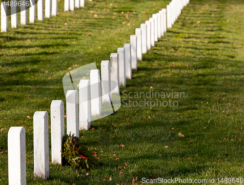 Image of Xmas wreaths in Arlington Cemetery