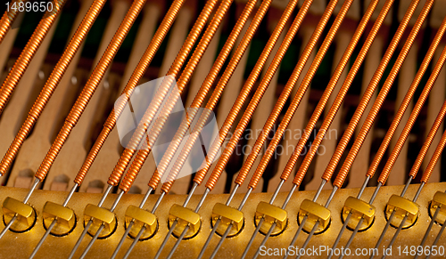 Image of Piano strings in macro