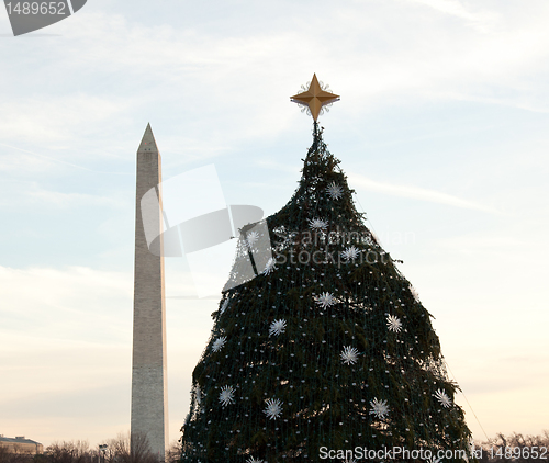 Image of National Christmas tree in DC