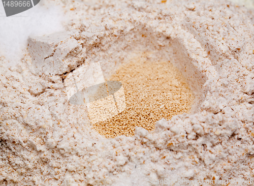 Image of Home made bread making