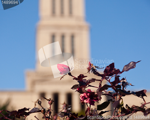 Image of George Washington National Masonic Memorial