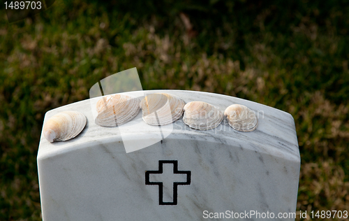 Image of Sea shells in Arlington Cemetery
