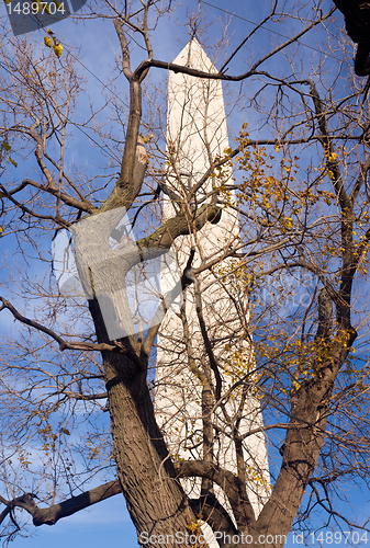 Image of View of Washington Monument