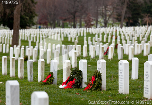 Image of Xmas wreaths in Arlington Cemetery