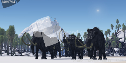 Image of Woolly Mammoth