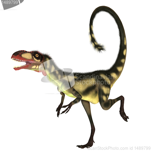 Image of Dilong Dinosaur01