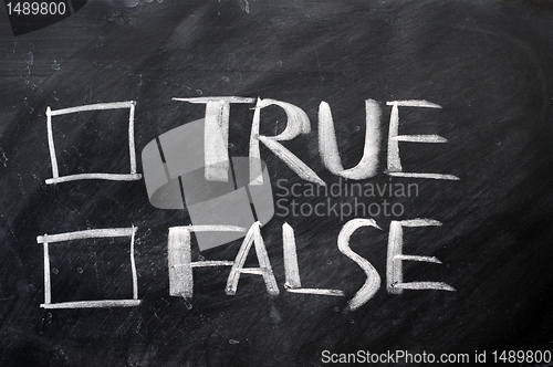 Image of True and false check boxes