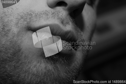 Image of three day beard black and white