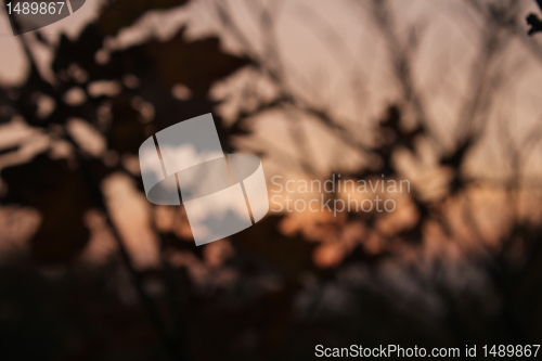 Image of evening blur