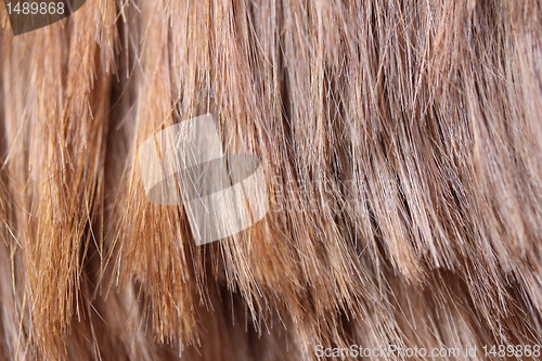 Image of light brown hair texture