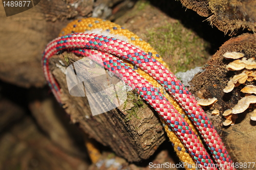 Image of climbing rope