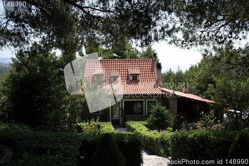 Image of House in forest