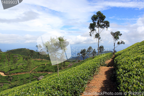 Image of Footpath