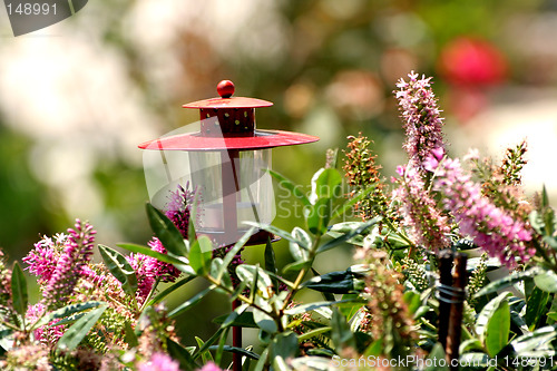 Image of Candle light in garden