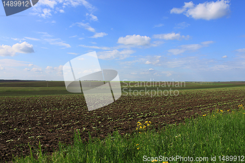 Image of countryside at spring
