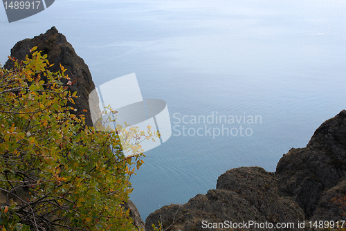 Image of sea