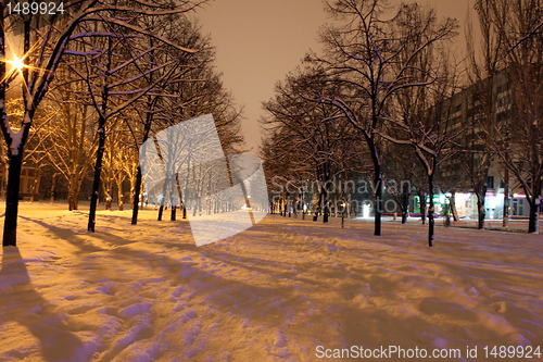 Image of avenue at winter