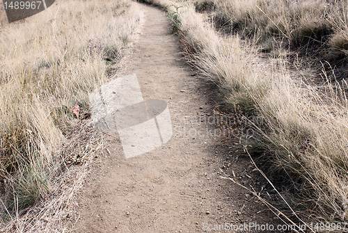 Image of path