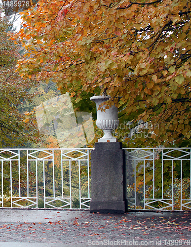 Image of autumnal park