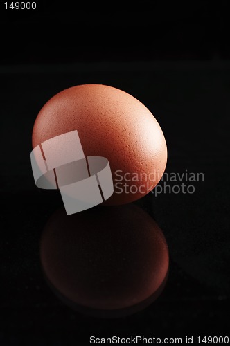 Image of Egg