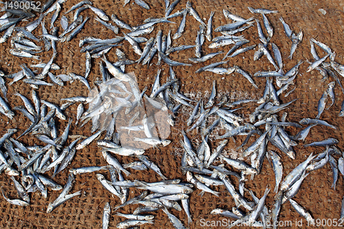 Image of Dry fish