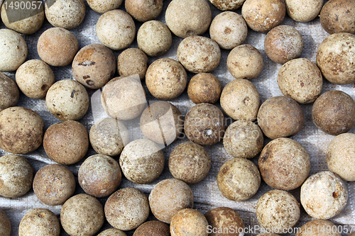 Image of Stone apples