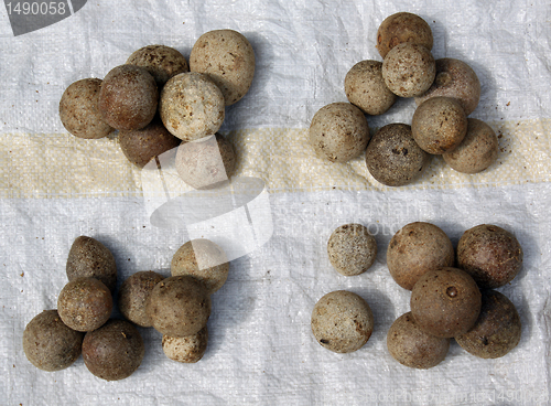 Image of Stone apples