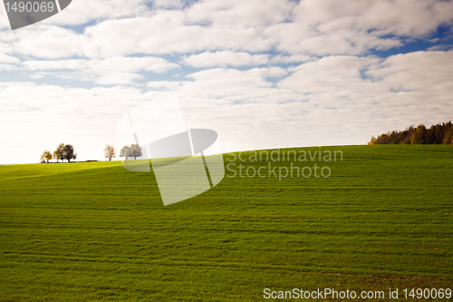 Image of Agricultural field