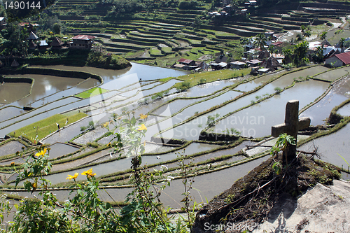 Image of Cross and rice