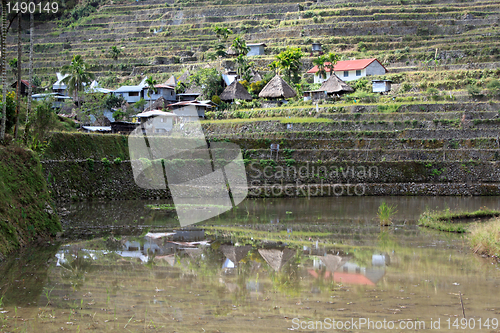 Image of Batad