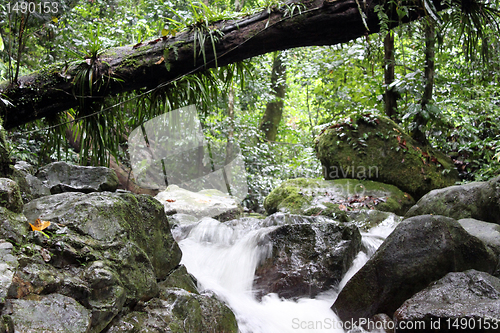 Image of River